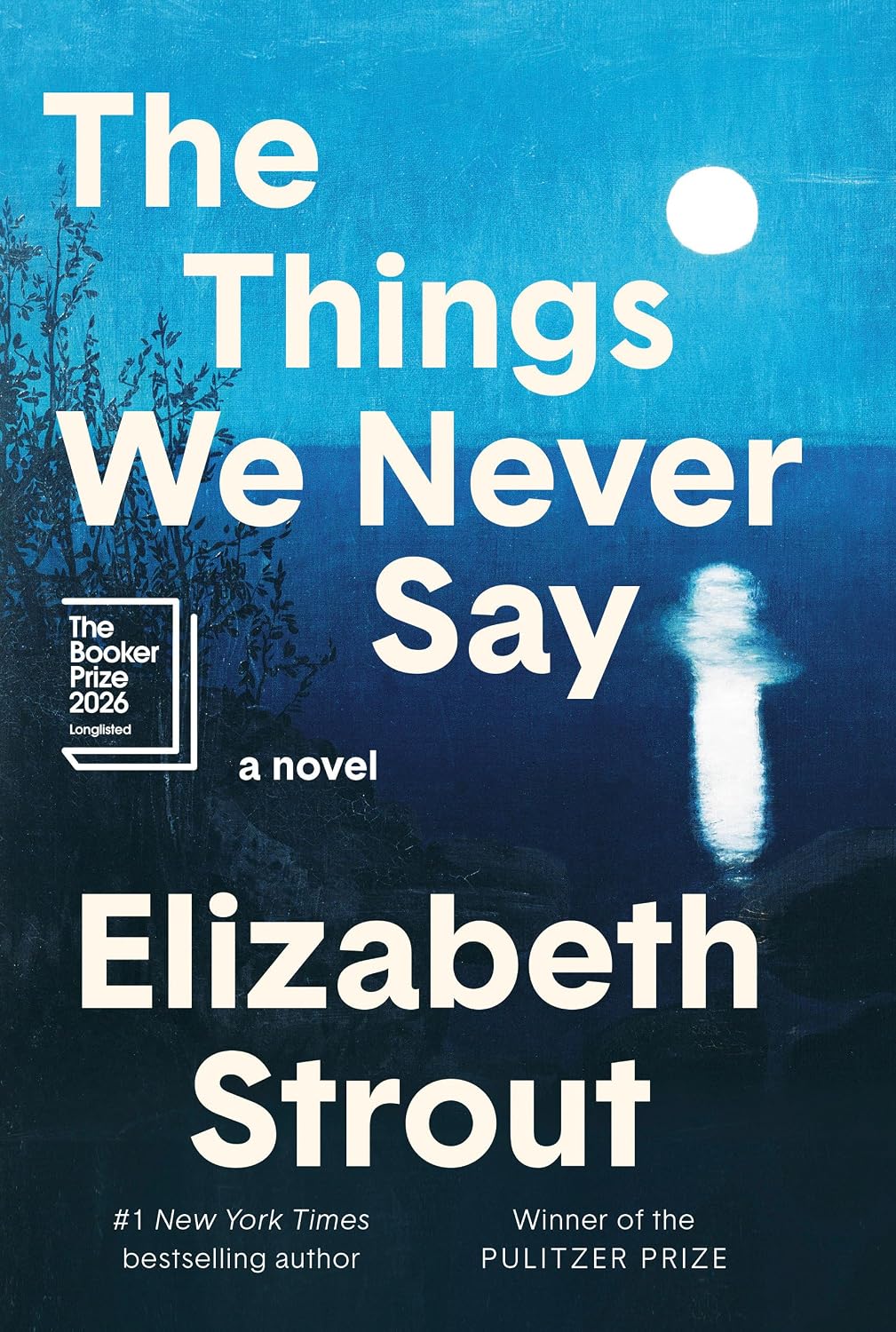 Summer literary book recommendation: The Things We Never&nbsp;Say