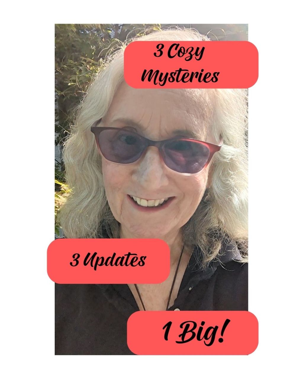 Cozy Mystery Update On All Three&nbsp;books